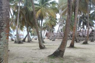 isla de san blas - Warsobtugua - 7