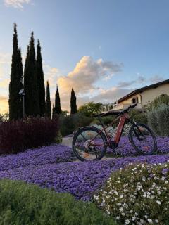 Casale Terre Rosse - Saturnia - 9