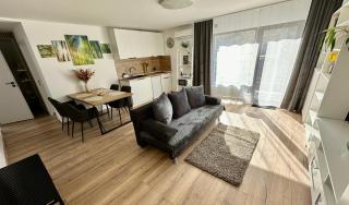 Vila Sas - Braşov - 9