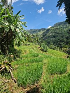 Heeloya mount view garden - - 9