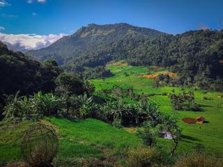 Heeloya mount view garden - - 8