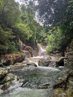 Heeloya mount view garden - - 4