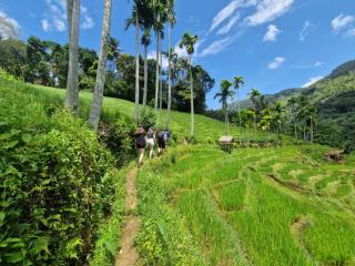 Heeloya mount view garden - - 2