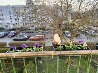 Apartament - Koszalin - 2