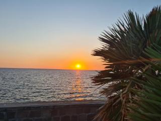 Alice Apartments - Mamaia - 8