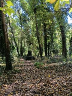 Cuenca del Bosque - Tandil - 5
