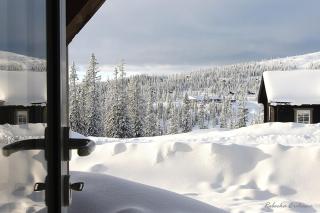 Dream Vacation in Storhogna - Storhågna - 9