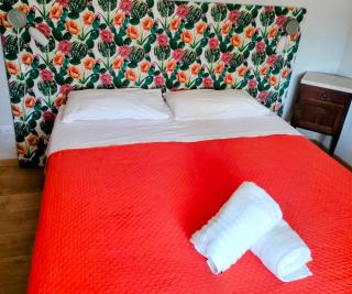 B&B Girasole - Colleferro - 6