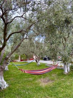 Helena's Home - Vergia - 6