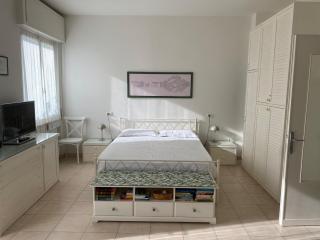 Oleander House apartments - Torri del Benaco - 9