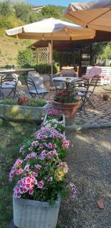 Residence Casa Lama - Castelfranco Piandisco - 4