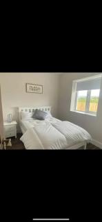 Sadies - Ballymagan - 6