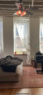 Zen Artist Loft in Williamsburg - Brooklyn - 4