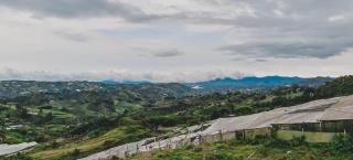 La Isabela Glamping - 9