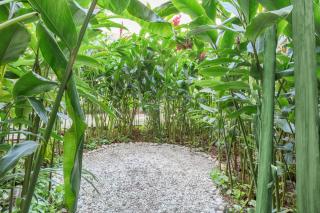 The Yucatan Playa Del Carmen, Tapestry Collection By Hilton - Playa del Carmen - 6