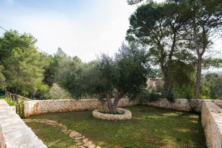 Trulli Magda - Martina Franca - 6