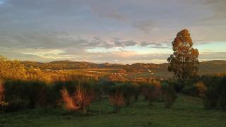 Cabaña La Resolana - Tandil - 3