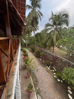 Praba Hostel - Palomino - 9