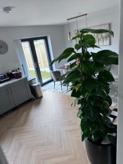 Double bedroom with private bathroom close to city center - Cork - 1