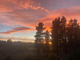 The Treehouse Branch - Hanmer Springs - 4
