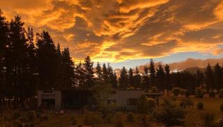 The Treehouse Branch - Hanmer Springs - 2
