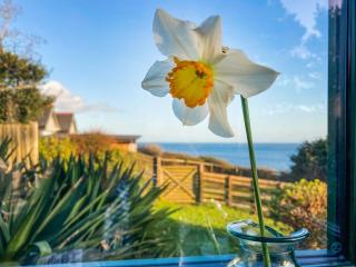 Monkstone View - Saundersfoot - 7