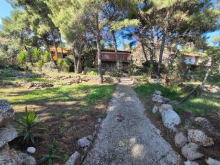 Apartments by the sea Zavala, Hvar - 8774 - Jelsa (Gelsa) - 9