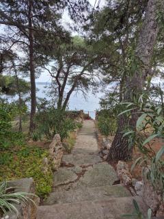 Apartments by the sea Zavala, Hvar - 8774 - Jelsa (Gelsa) - 3
