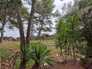 Apartments by the sea Zavala, Hvar - 8774 - Jelsa (Gelsa) - 2