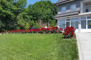 Apartments with a parking space Krapinske Toplice, Zagorje - 24225 - Krapinske Toplice - 7