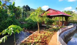 Cozy Hill Retreat - 3