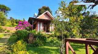 Cozy Hill Retreat - Gia Nghĩa - 1