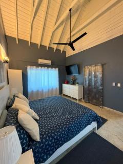 Centrally Exterior Villa Accessible & Pet Friendly - Punta Cana - 9