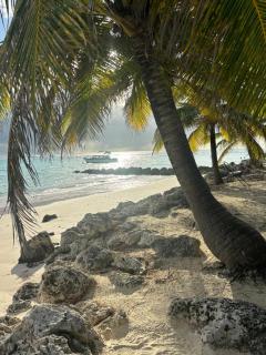 Rose Apartments Barbados - Christ Church - 0