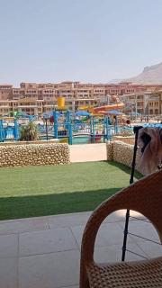 بورتو السخنه - كاريبين اكوا بارك اطفال وكبار مجانآ عائلات فقط - Ain Sokhna - 2