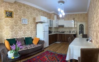 Halal Comfortable apartament - Bakoe - 9