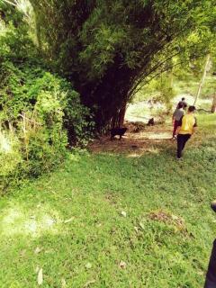 Casa en el Arbol - Cerca Metrocable ARVI - Camping - 2