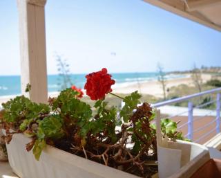 Hotel Mar & Sol - Punta Secca - 4