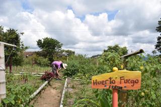Tierra Activa Alojamiento Eco Rural finca orgánica y agroturística - 9