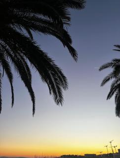 Palm Blues - Vodice - 7