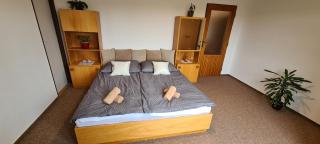 Apartmány Zelená Hora s velkou zahradou - Saar - 5
