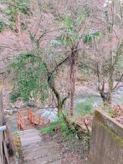 川辺-KAWABE-BBQ-川遊び-fishing - Hanno - 9