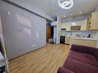 Cozy central 1 bedroom apt - - 3