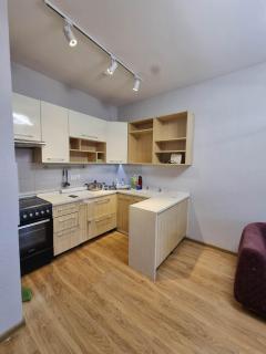 Cozy central 1 bedroom apt - - 2
