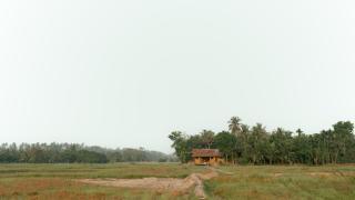 Kirindi Paddy Isle - Negombo - 7
