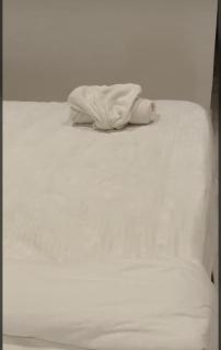 Salto Grande Suites - Fombeni - 2