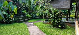 Dharma Suweta - Ubud - 8