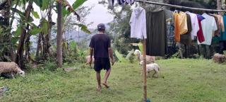 Moto driver tour Borobudur , Rice terace, sacred waterfall - 5