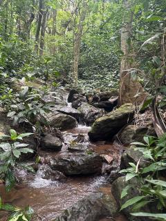 Vinthara Retreat - Attigundi - 4
