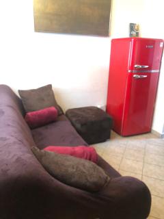 Hundeurlaub im Tiny House im Wald - Tanna - 3